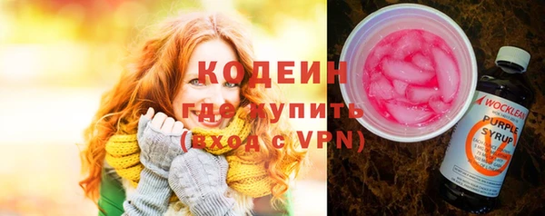 шишки Сатка